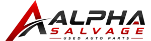 cropped-WhatsApp_Image_2026-07-30_at_3.38.03_PM-removebg-preview.png